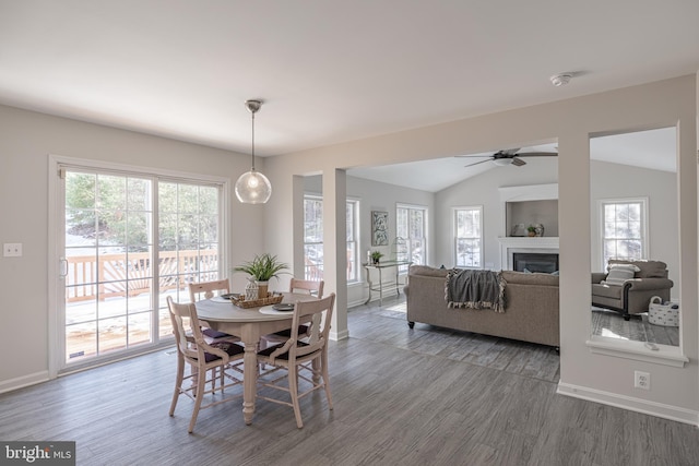 dining room with hardwood / wood-style flooring, vaulted ceiling, and ceiling fan