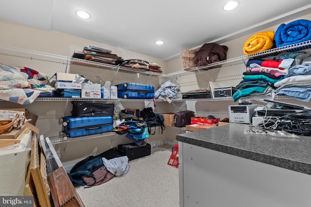 view of spacious closet