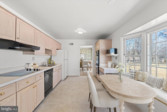 kitchen with sink, black appliances, light brown cabinetry, and a healthy amount of sunlight