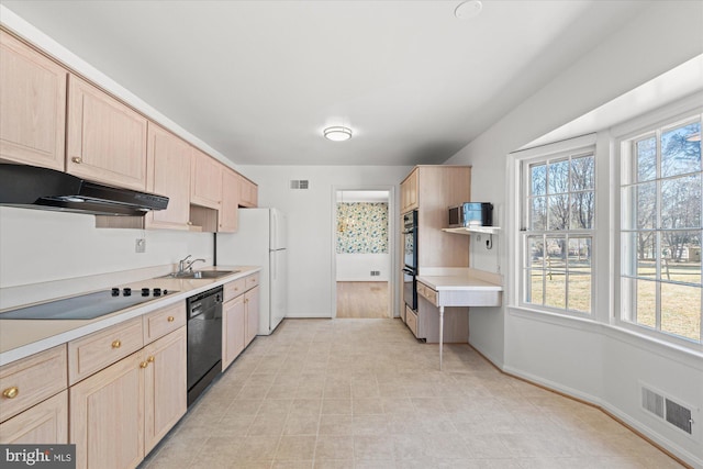 kitchen with a wealth of natural light, sink, black appliances, and light brown cabinetry