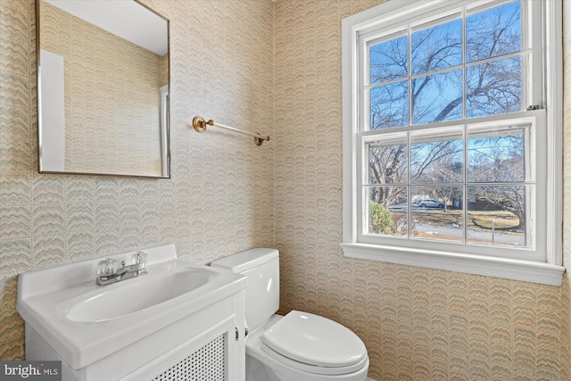 bathroom with toilet and vanity