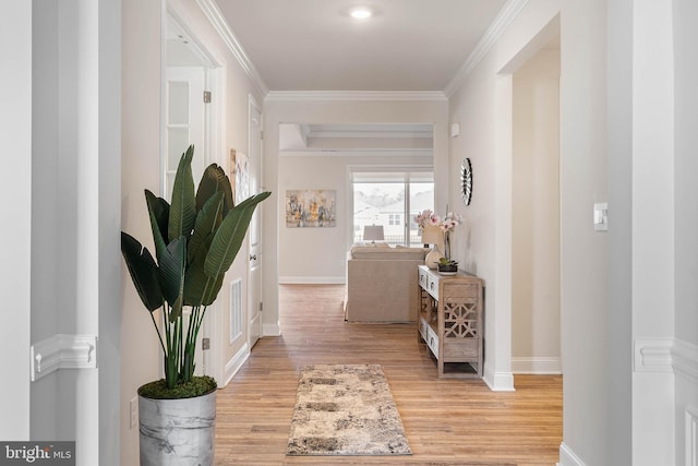 hallway featuring crown molding and light hardwood / wood-style flooring