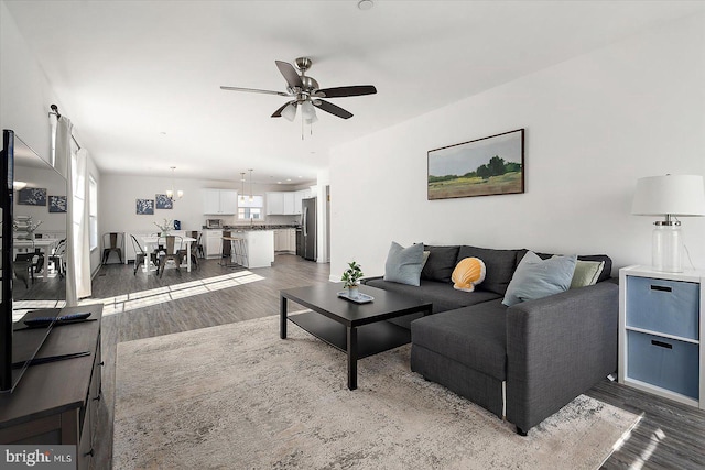 living room with dark hardwood / wood-style floors and ceiling fan with notable chandelier