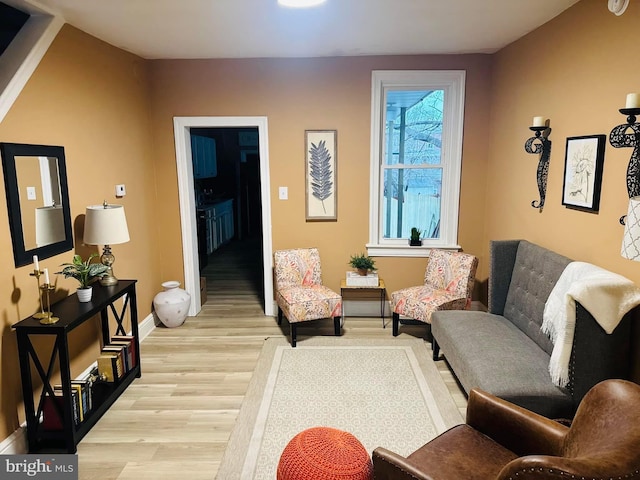 living room with light wood-type flooring