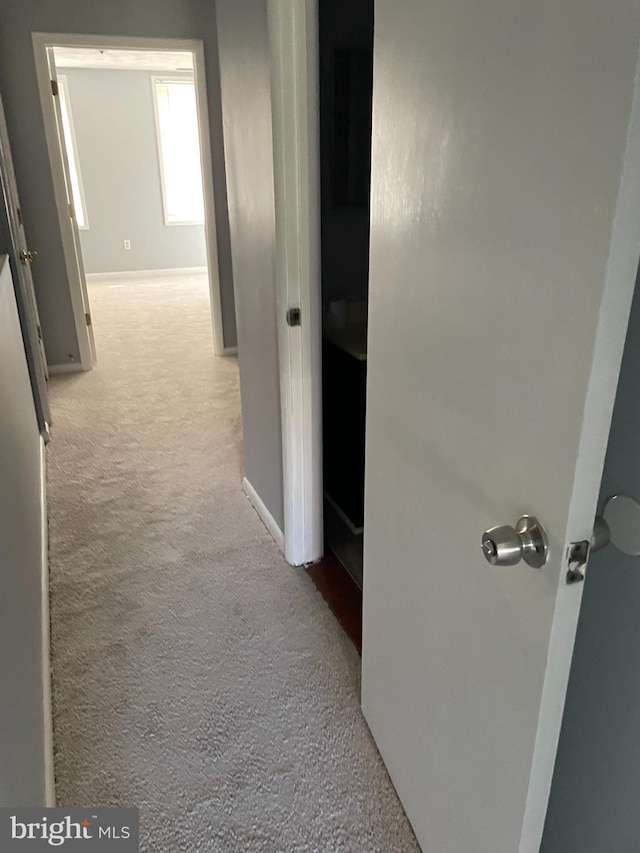 corridor with light colored carpet