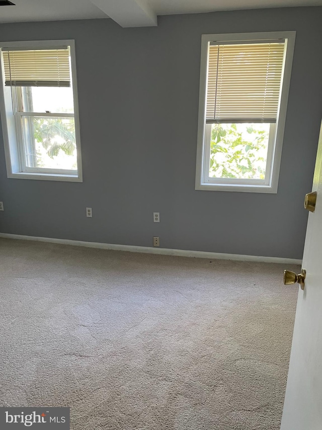 empty room featuring carpet floors