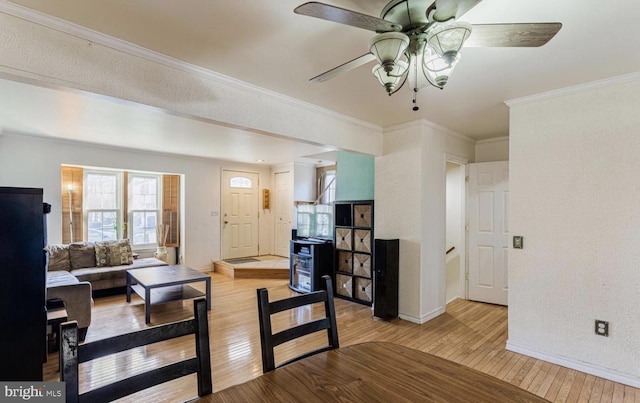 living room with crown molding, ceiling fan, and light hardwood / wood-style flooring