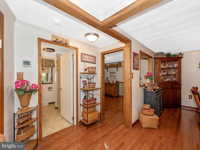 hallway with crown molding and hardwood / wood-style floors