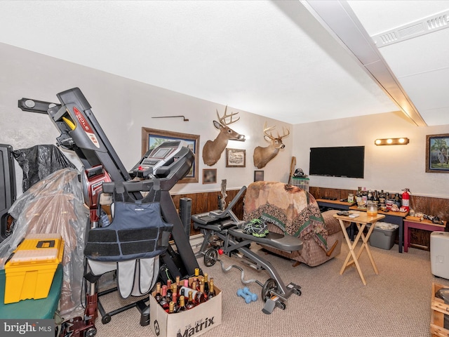 recreation room with carpet floors