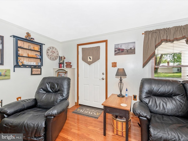 living room featuring hardwood / wood-style flooring