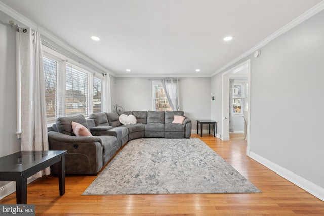 living room with crown molding and light hardwood / wood-style flooring