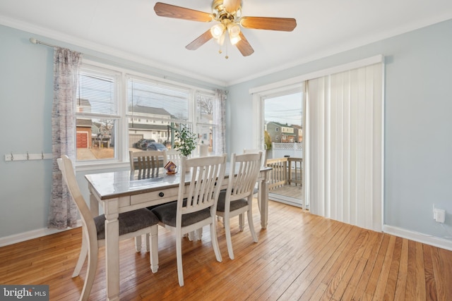 dining space with crown molding, ceiling fan, and light wood-type flooring