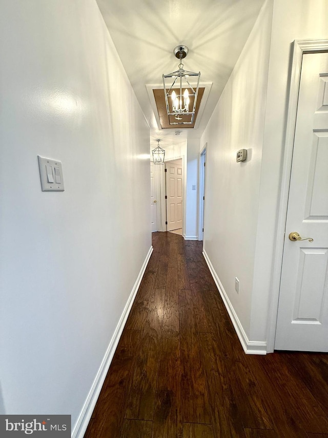 corridor with dark hardwood / wood-style flooring and a notable chandelier