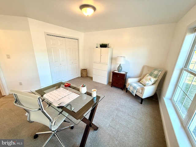 office featuring carpet floors