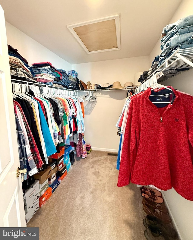 walk in closet featuring light carpet