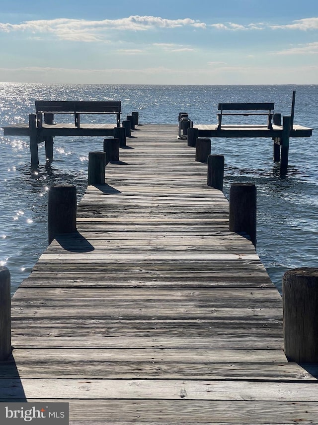 dock area with a water view