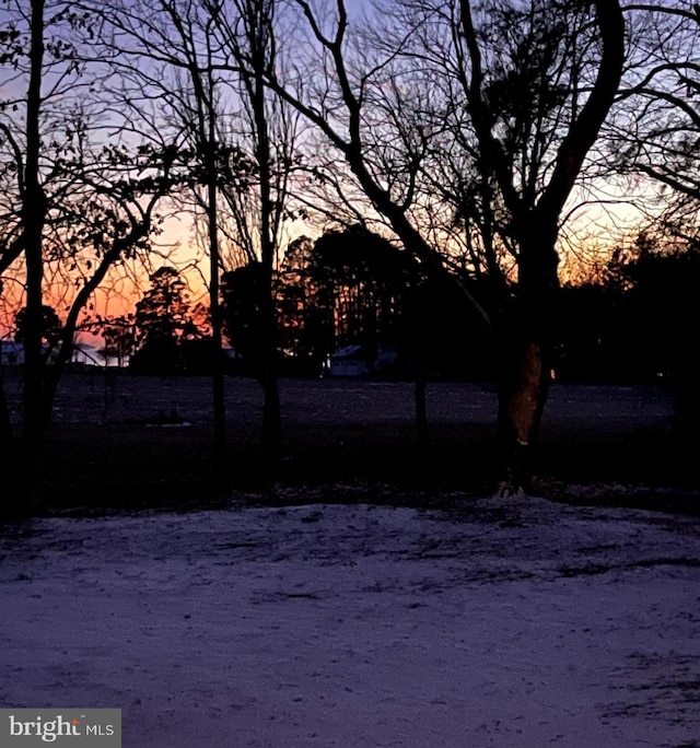 view of yard at dusk