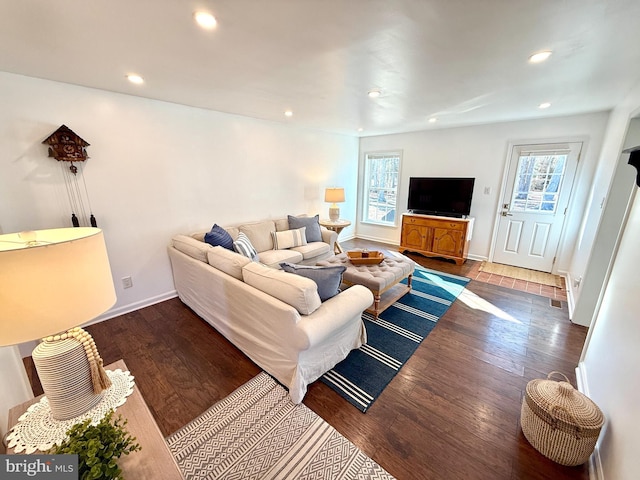 living room with wood-type flooring and a healthy amount of sunlight