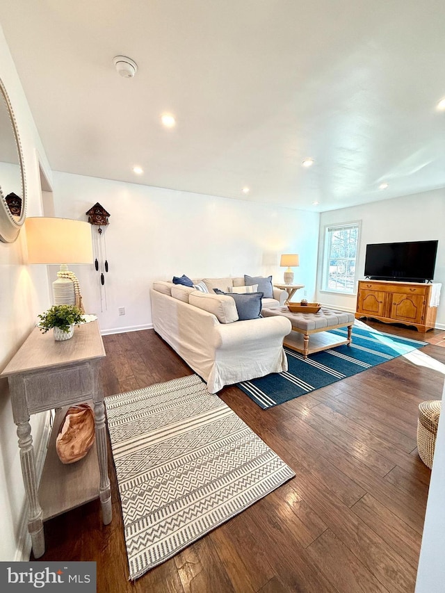 living room featuring dark hardwood / wood-style flooring