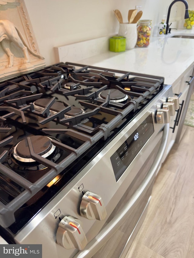 room details with sink and stainless steel gas range oven