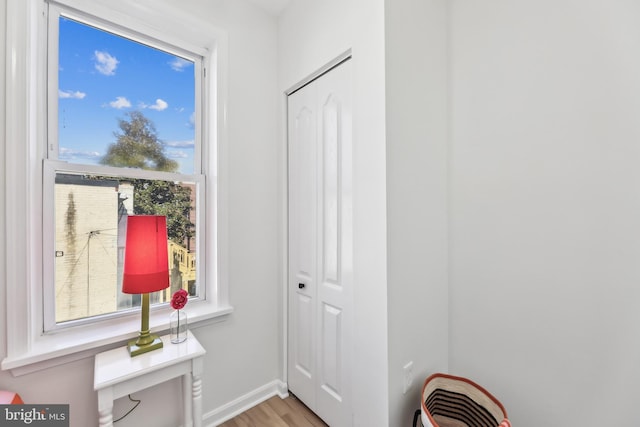 doorway to outside featuring light hardwood / wood-style floors