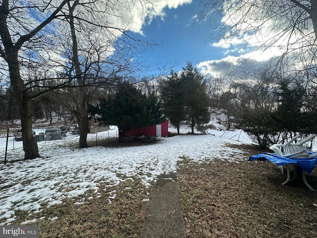 view of snowy yard