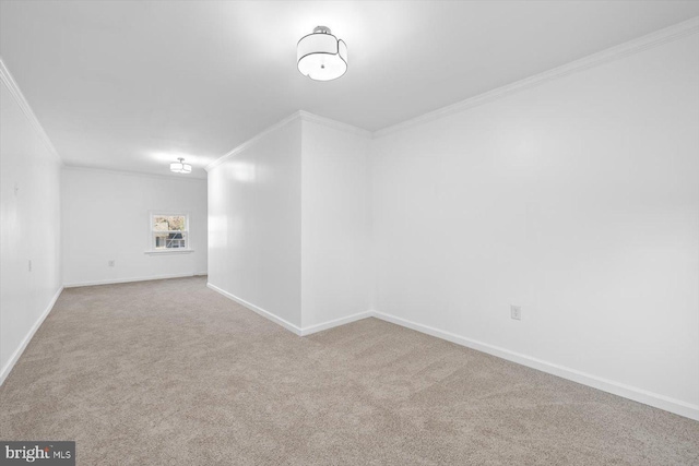 carpeted empty room featuring crown molding