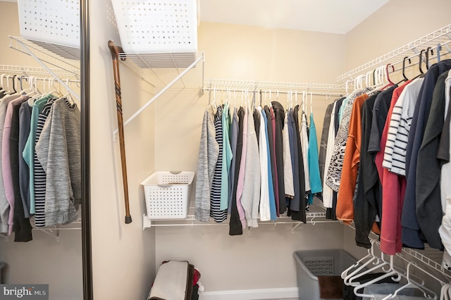 view of spacious closet