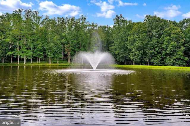 view of water feature