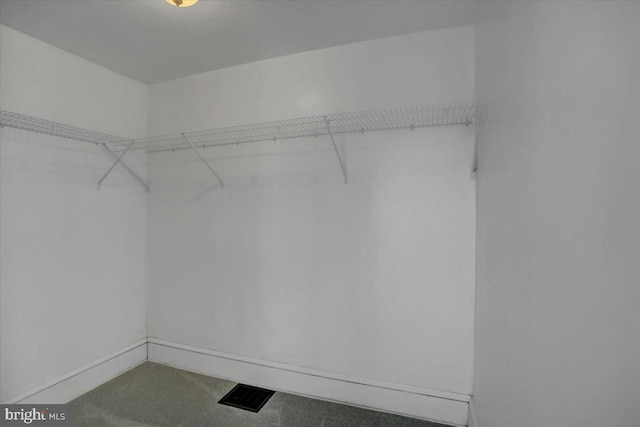 spacious closet featuring carpet