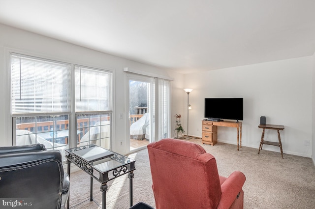 view of carpeted living room