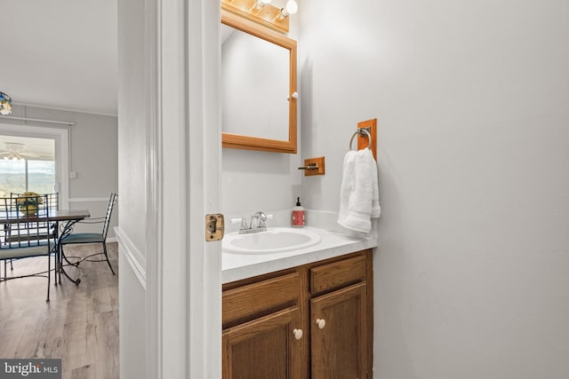 bathroom with wood finished floors and vanity