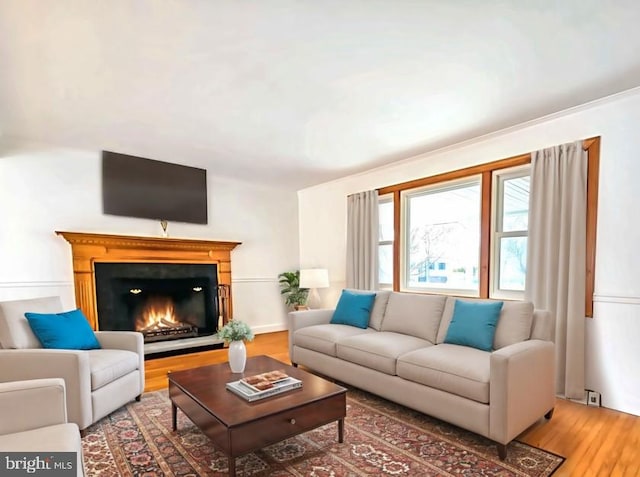 living room with hardwood / wood-style flooring