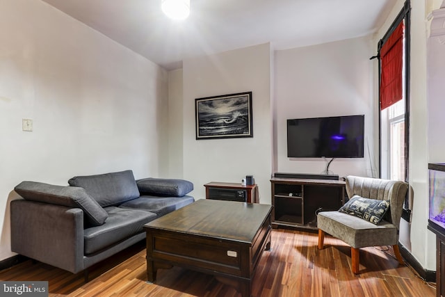 living room featuring hardwood / wood-style floors