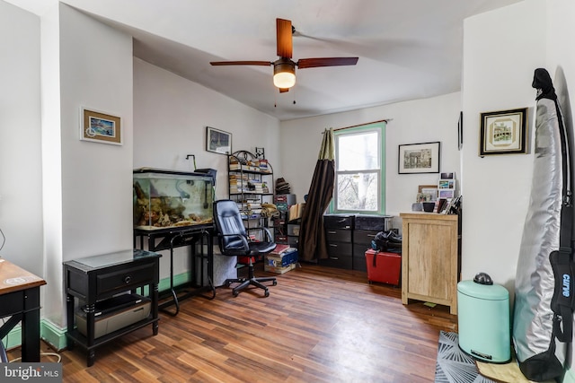 office space with hardwood / wood-style floors and ceiling fan