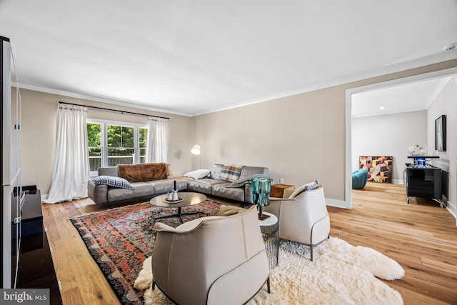 living room featuring crown molding and light hardwood / wood-style flooring