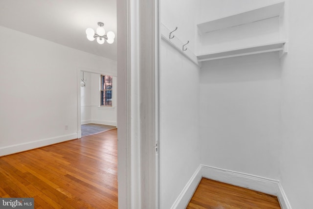 walk in closet with an inviting chandelier and hardwood / wood-style flooring