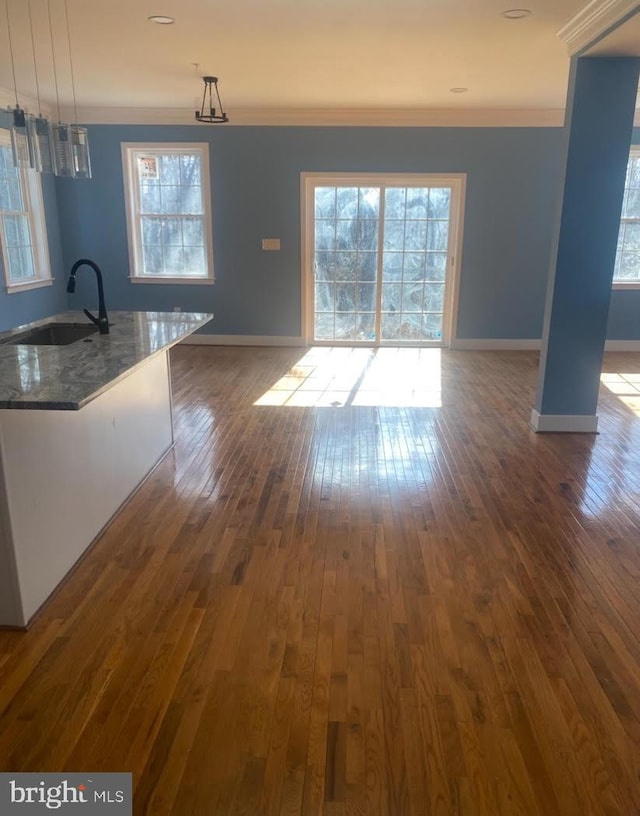 unfurnished dining area featuring dark hardwood / wood-style floors, sink, and ornamental molding