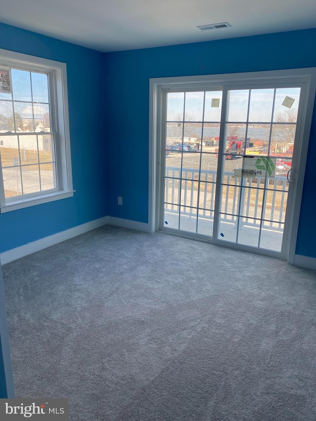 spare room featuring carpet flooring and a wealth of natural light