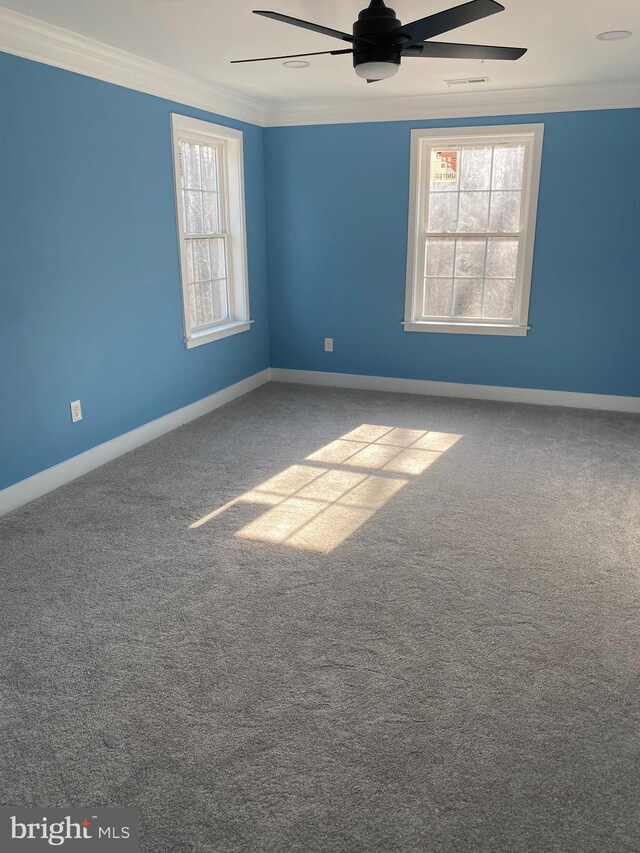 carpeted spare room featuring ceiling fan and crown molding