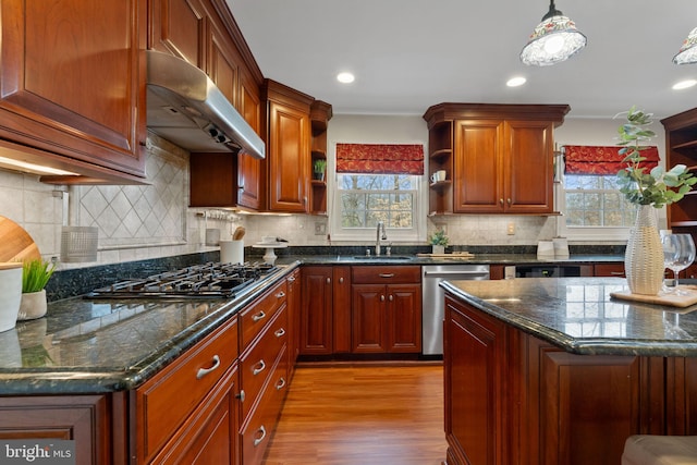 kitchen featuring a sink, ventilation hood, open shelves, and stainless steel dishwasher