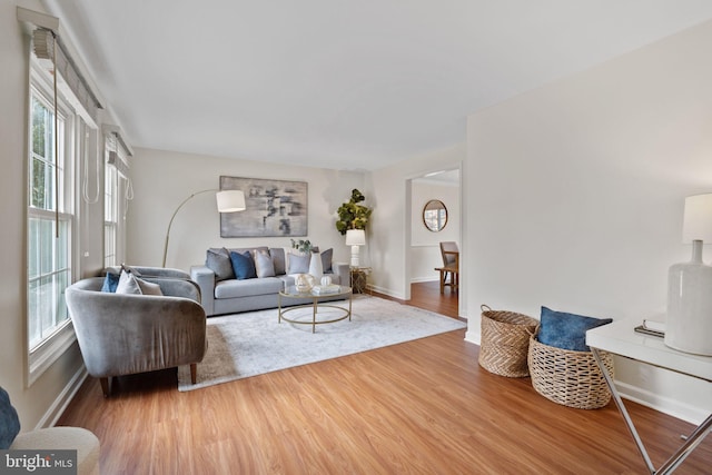 living area featuring baseboards and wood finished floors