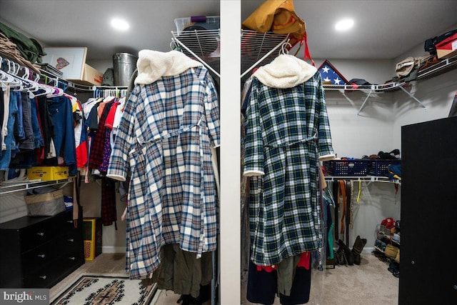 spacious closet with light colored carpet