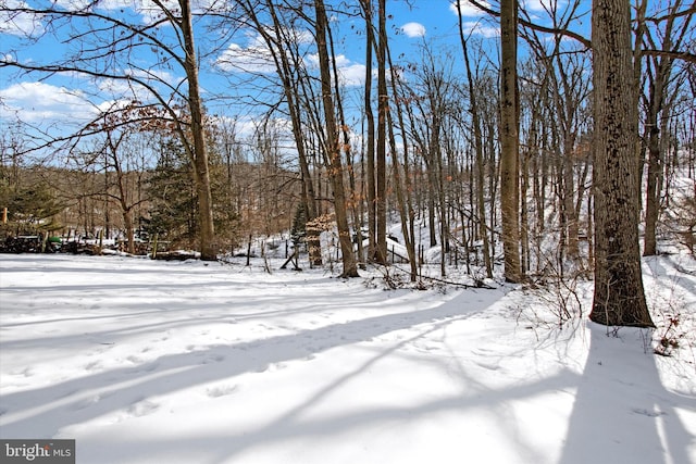 view of yard layered in snow