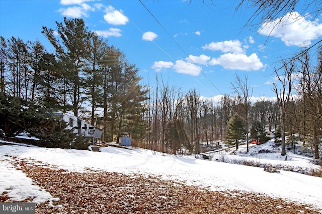 view of yard covered in snow