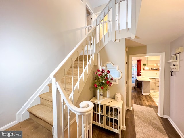 staircase featuring wood-type flooring