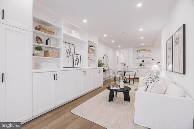 living room featuring light hardwood / wood-style flooring