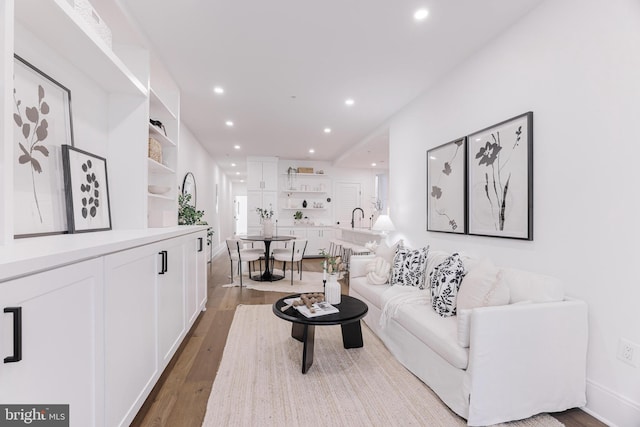 living room with wood-type flooring and sink