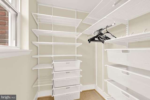 spacious closet with hardwood / wood-style flooring