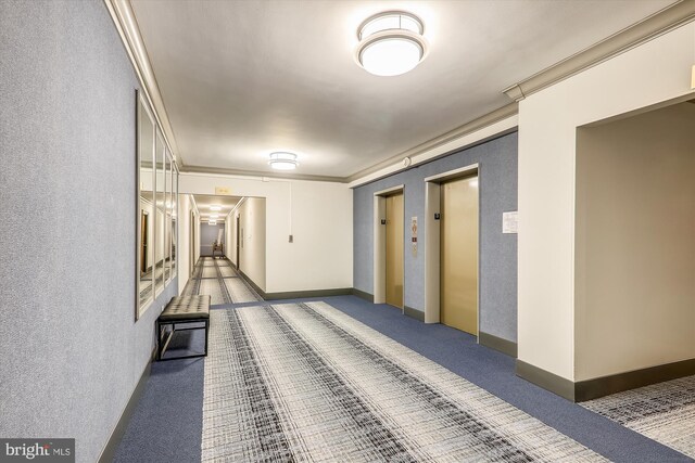 corridor featuring crown molding, carpet, and elevator